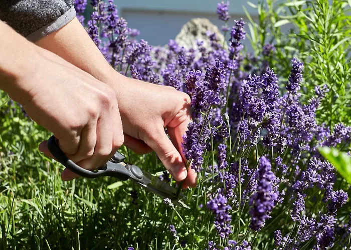 Отель Erhart 4*